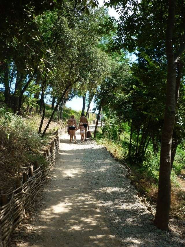 Le pont du diable Pdd310