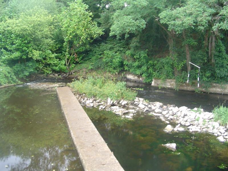 matinée decouverte a carhaix Dsc00817