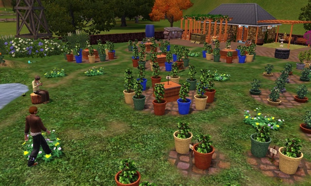 [votes][janvier 2015] Construis moi un jardin partagé 211