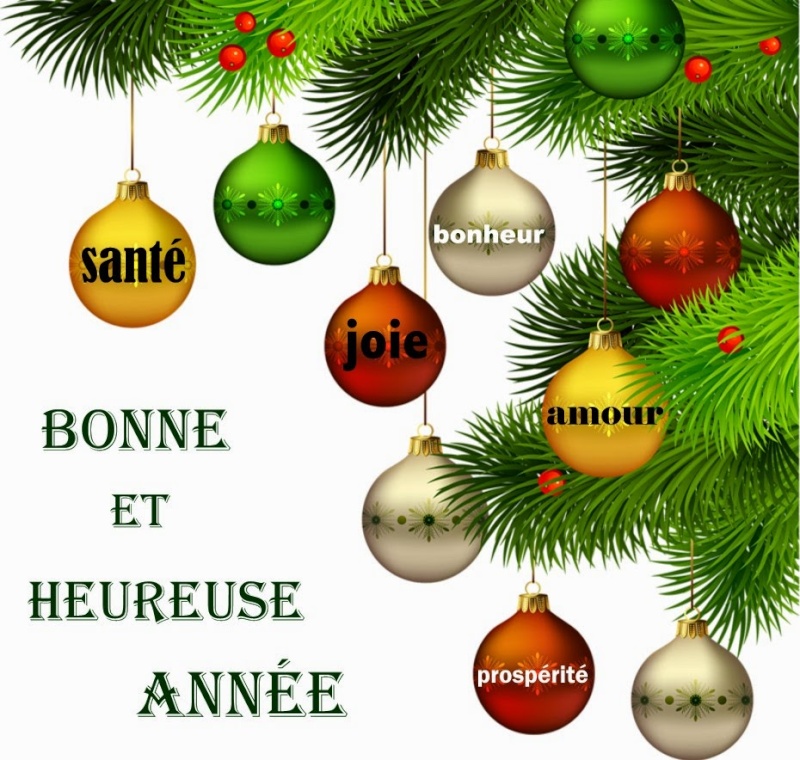 joyeuses fêtes de fin d'année à tous les membres !! Bonnne10