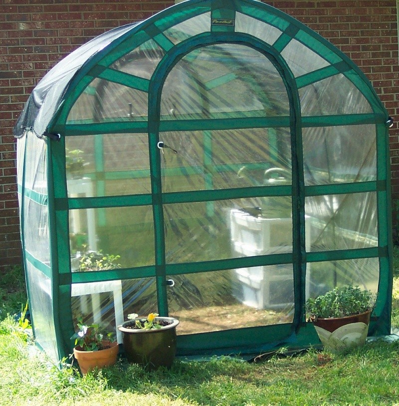 little greenhouses? 45289610