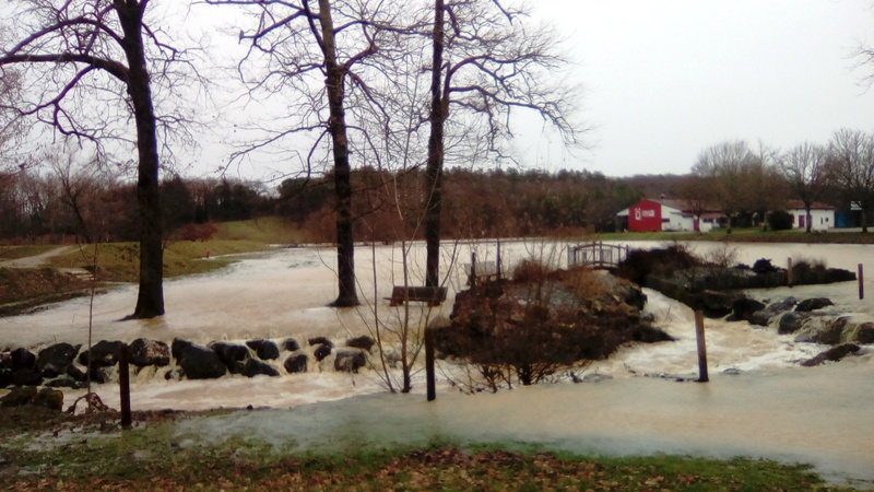 Lac inondé Img_2027