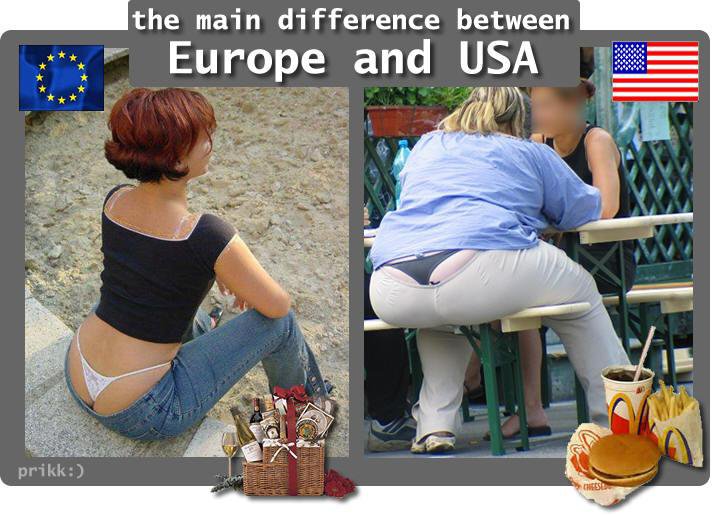 the main difference between europe and usa 16373810