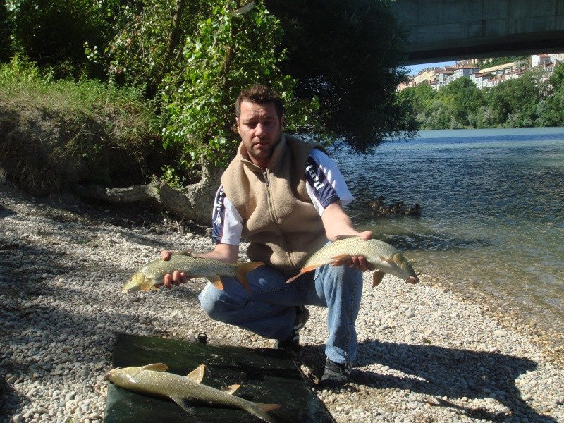 3 barbeaux pour le Fishing'!! Dsc03211