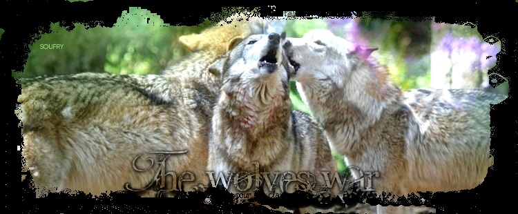 The Wolves war