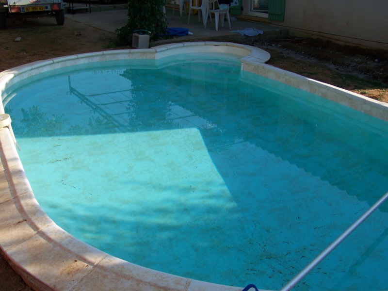 Conseil pour remise en route d'une piscine laissée à l'abandon - Page 2 100_0410