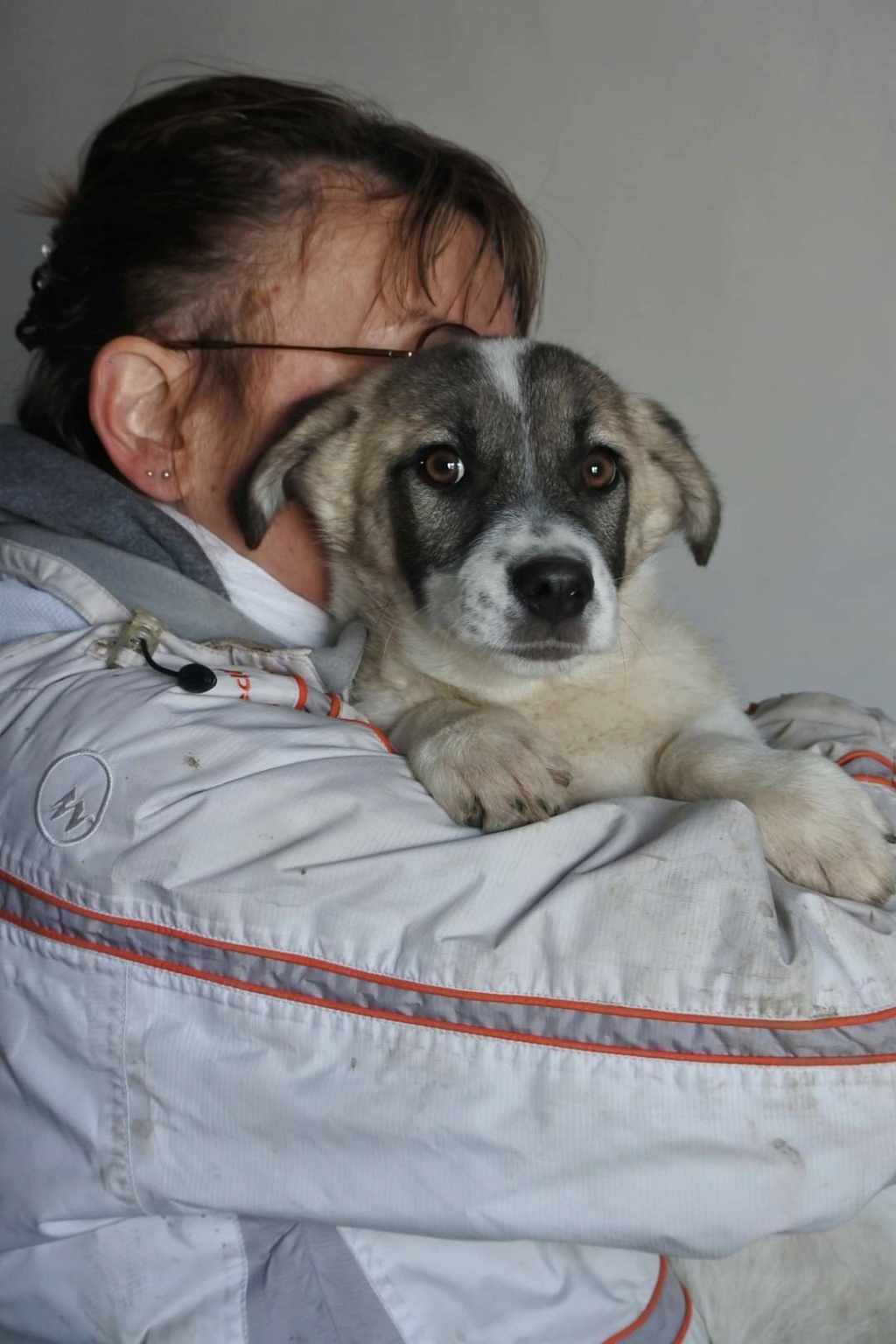 LILA NEE LE 12.07.2023 -  fratrie de 7 chiots trouvée devant le refuge- parrainée par Nenet -R-SC Img-2169