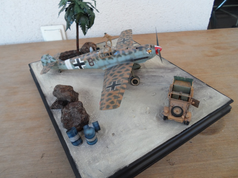 BF 109 E-7 Trop " Eduard " 1/32 Sam_2321