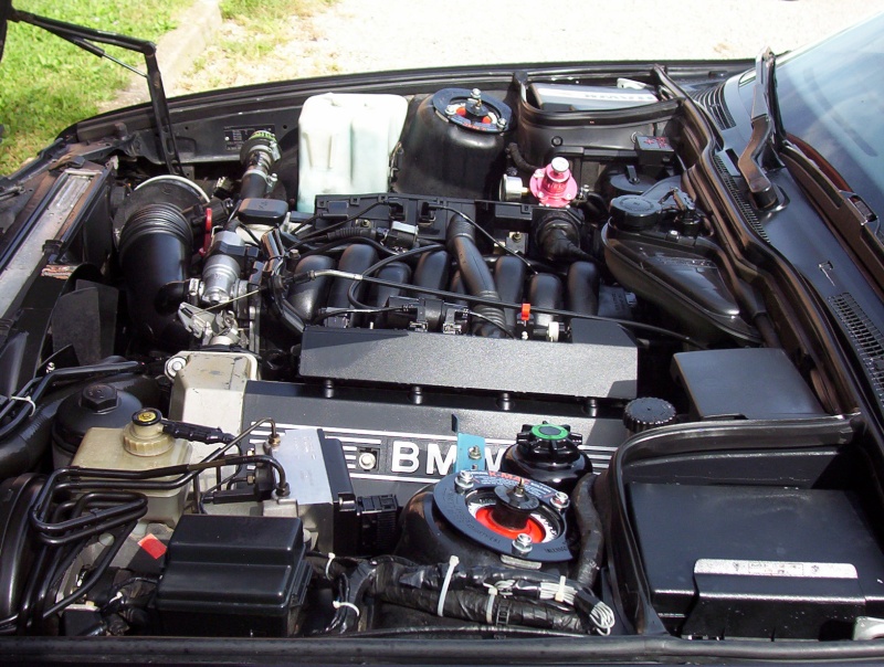 bmw E34 V8 chassis //M 100_7511