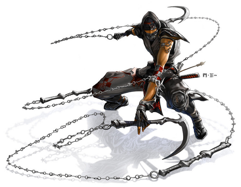 Assassin Ninja210