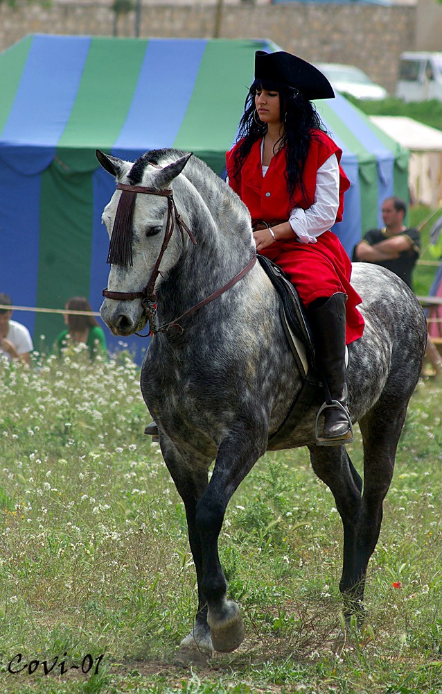 Recreación de la batalla de Almansa (albacete) 001_co10