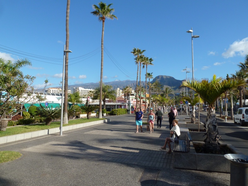 Parque Cristobel Tenerife PDLA P1030318