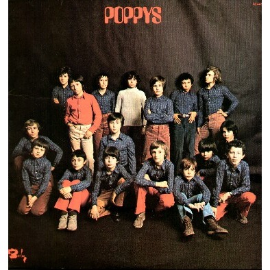 Poppys Poppys10