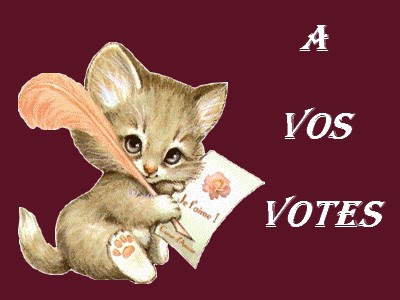 Vote concours chats Chat810