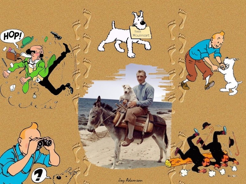 Logiciels gratuits et  montages de photos, et signatures personnalisées. - Page 10 Tintin10