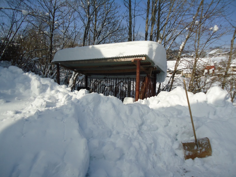 La Neige Dsc06510