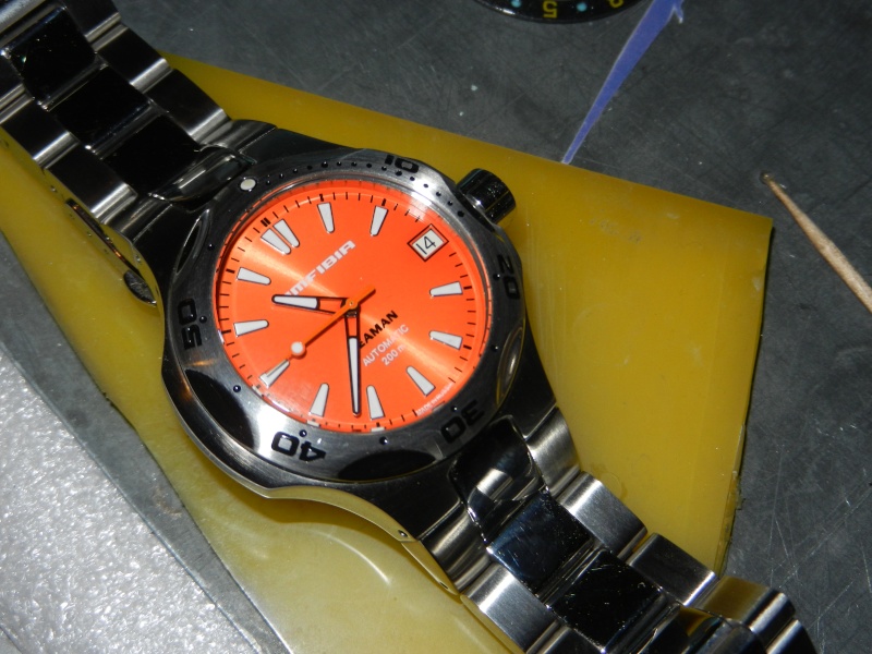 VOSTOK AMFIBIA SEAMAN ORANGE Dscn9712