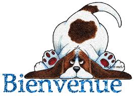 Présentation de Choowy Bienve40