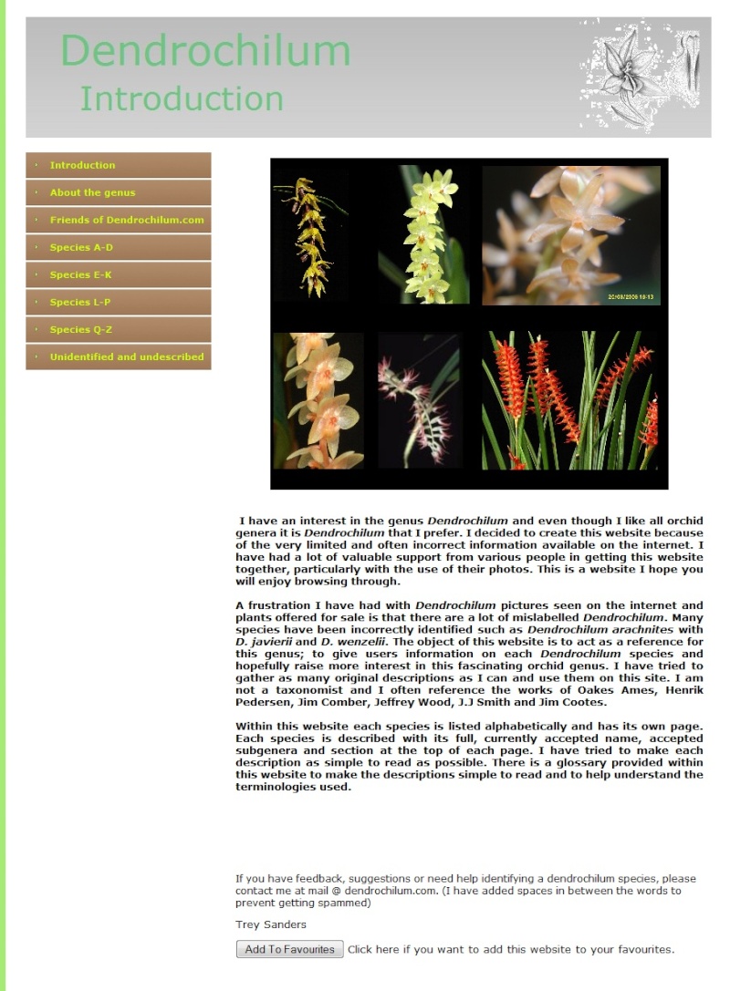 Dendrochilum.com Dendro10