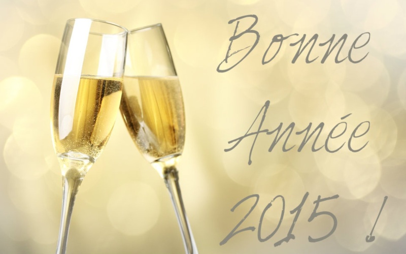 Bonne année 2015 Annee10
