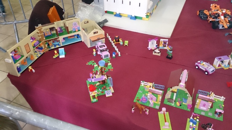 Expo LEGO - Etoiles sur Rhone - Drôme (26) Février 2015 02510