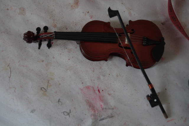 Violons et instruments "Souvenirs" Img_0218