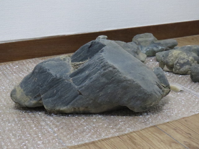 Stones I found in the Kamogawa, Kyoto - Page 2 Img_7115