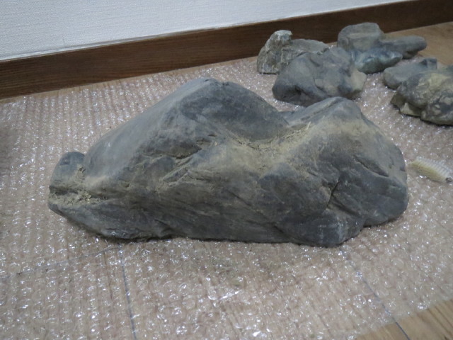 Stones I found in the Kamogawa, Kyoto - Page 2 Img_7117