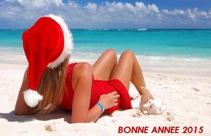 Bonne année 10891510