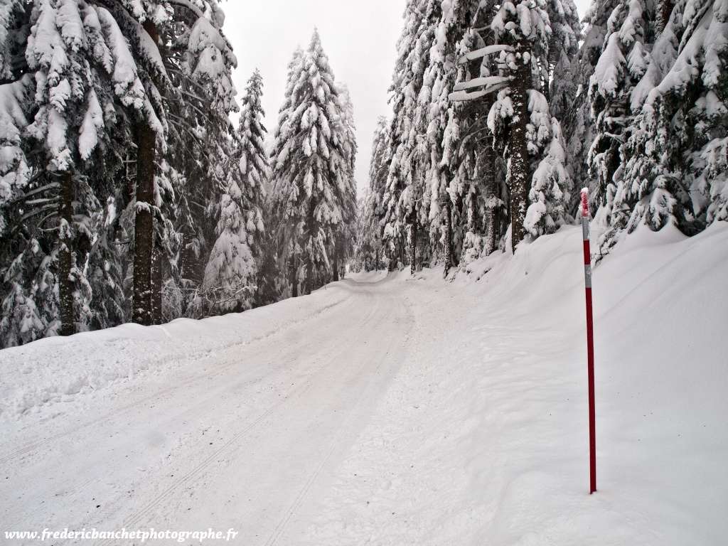 route enneigée Route_10