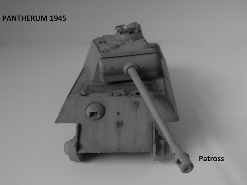 Pill box panther ( tamiya 1/35eme )  " le diorama ". - Page 2 P2021116