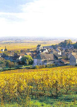 Par ordre alphabétique, des villes et des villages . - Page 29 Volnay10