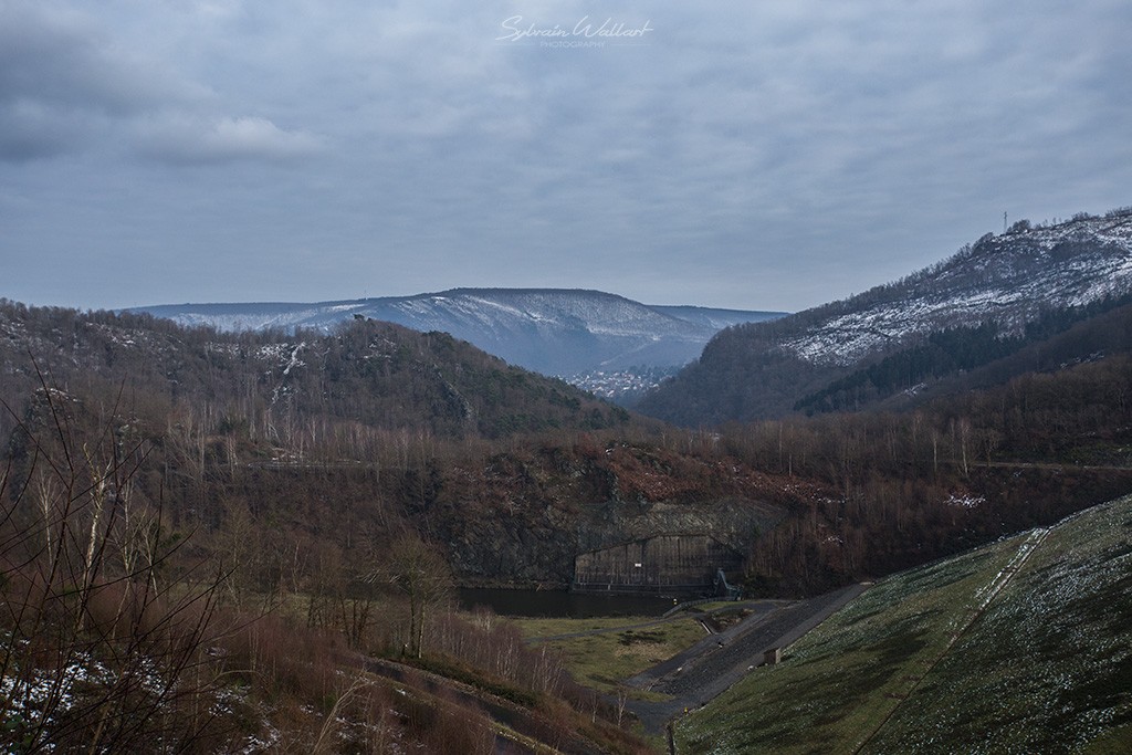 Paysages d'hiver dans les Ardennes Img_4912