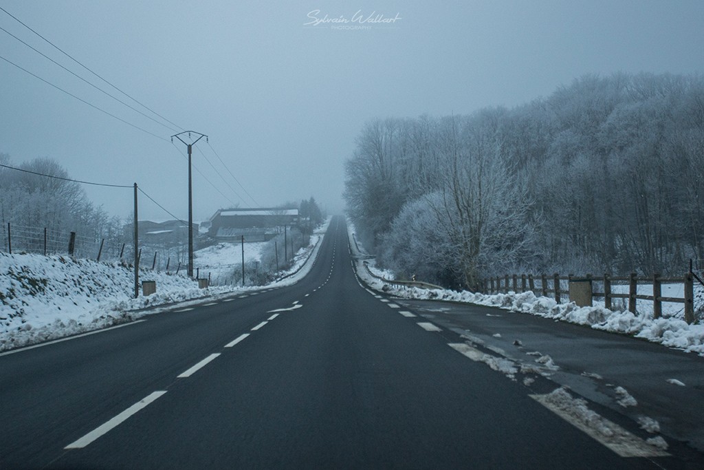 Paysages d'hiver dans les Ardennes Img_5010