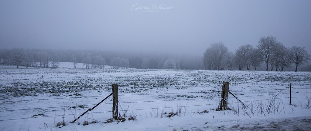 Paysages d'hiver dans les Ardennes Img_5012