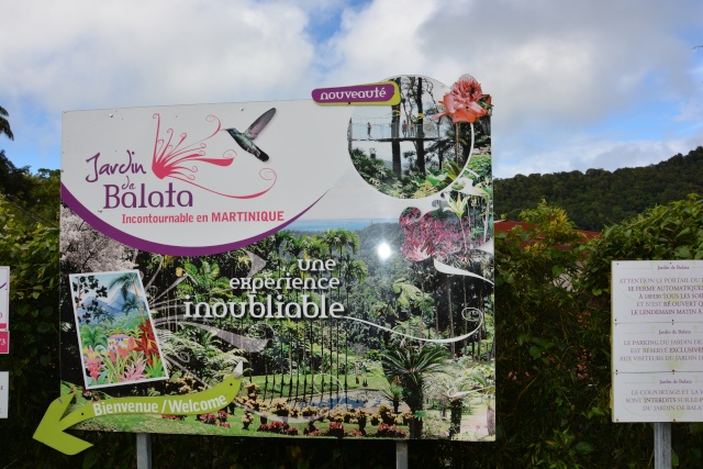 (972) Le jardin botanique de Balata - Martinique 21janv20