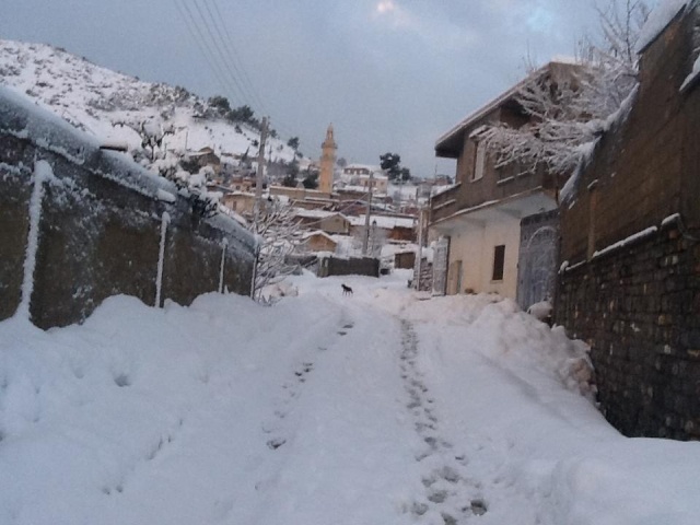 LA NEIGE à HARBIL 16801_10