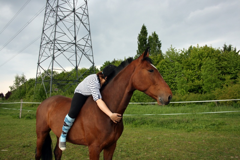 Les trotteurs  <3 Img_4612