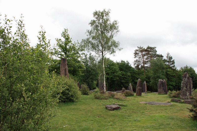 Lagad en Brocéliande Monten10