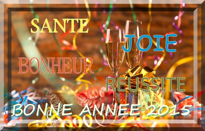 bonne année 2bc9ba10