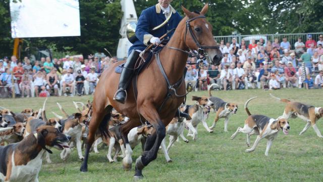 Carrouges déménage.....au haras du Pin.......... Le-ren10