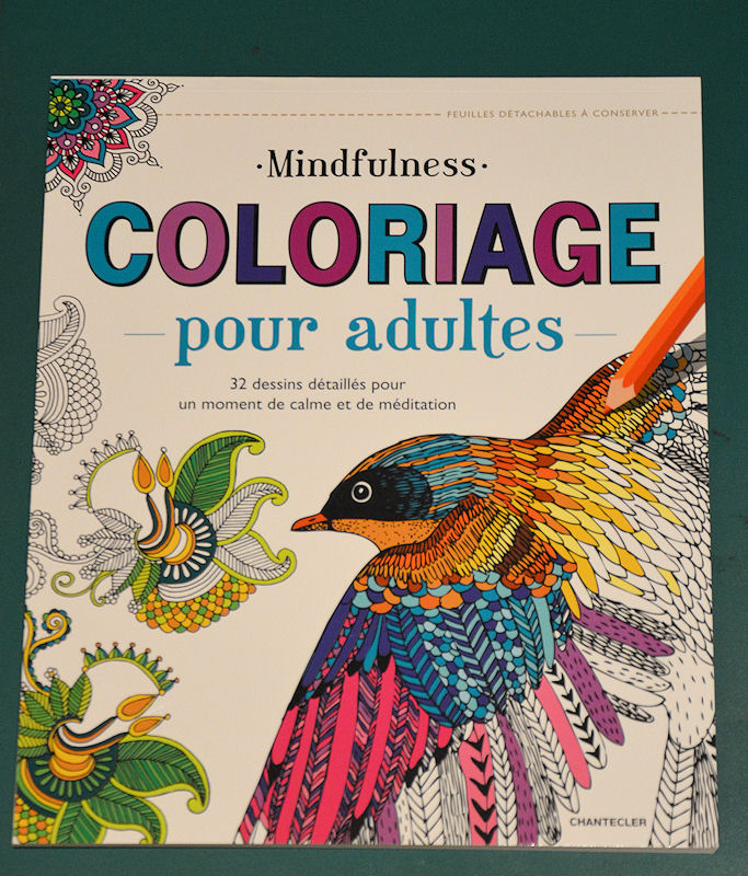 Grand bloc : 'Mindfulness - Coloriage pour adultes' - feuilles détachables  Mindfu12