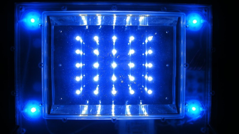 Leds for salt Leds10