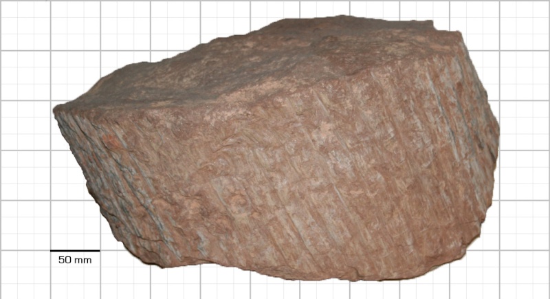 Grès (Sandstone) Schistes( Shale) types de conservation Syring13