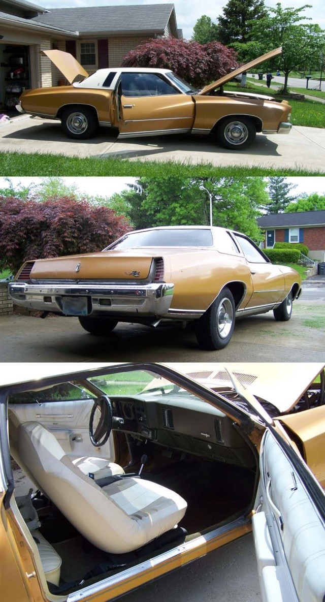 Introducing me&my project 73 Monte Carlo (if I can get the pictures to load) 73mont10