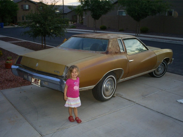 Introducing me&my project 73 Monte Carlo (if I can get the pictures to load) S5032315