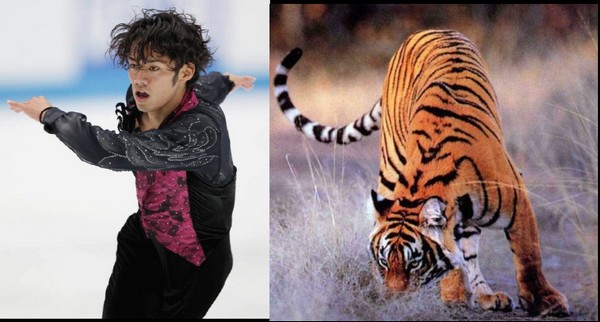 Which animal do you associate our ice boys with?Much fun! Ddundn10