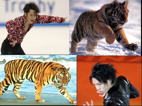 Which animal do you associate our ice boys with?Much fun! Dndndd10