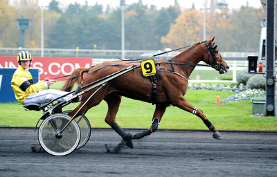 GRAND PRIX D'AMERIQUE 2015 Vanika10