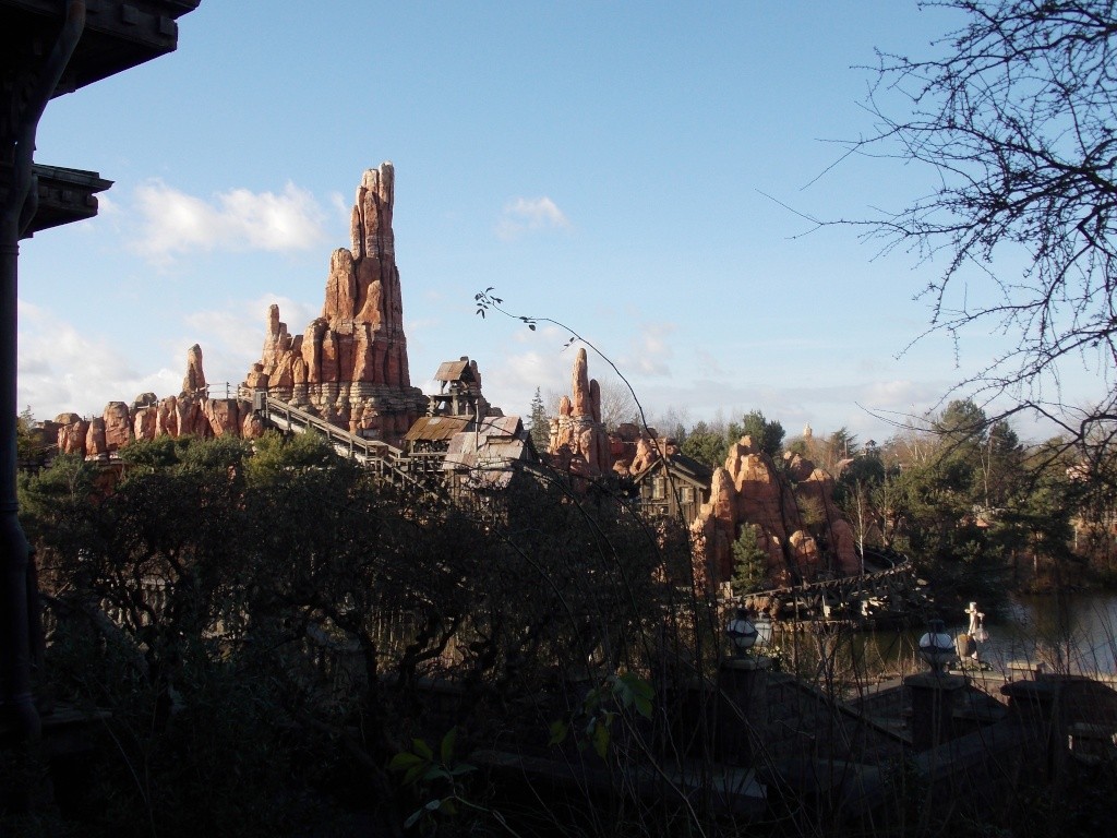 Le Disneyland Hôtel en amoureux du 11 au 13 janvier 2015 (Début du TR p2) - Page 2 Dscn8916